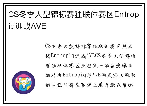 CS冬季大型锦标赛独联体赛区Entropiq迎战AVE
